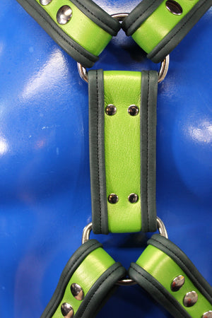 Two Tone Extended X-Harness (Wide Center Variant)