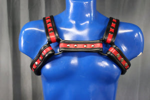 Two-Tone Bulldog Harness