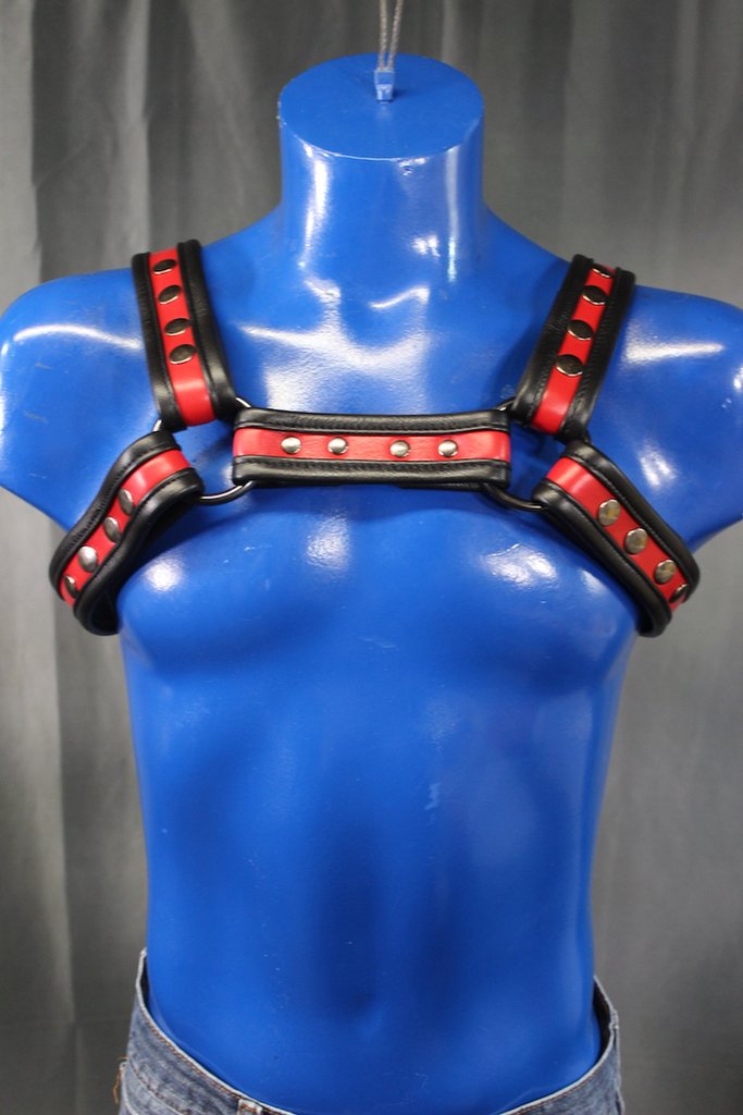 Two-Tone Bulldog Harness