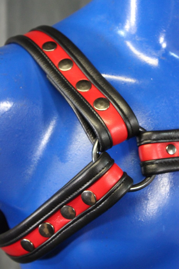 Two-Tone Bulldog Harness