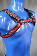 Two-Tone Bulldog Harness