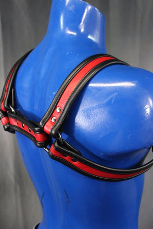 Two-Tone Bulldog Harness