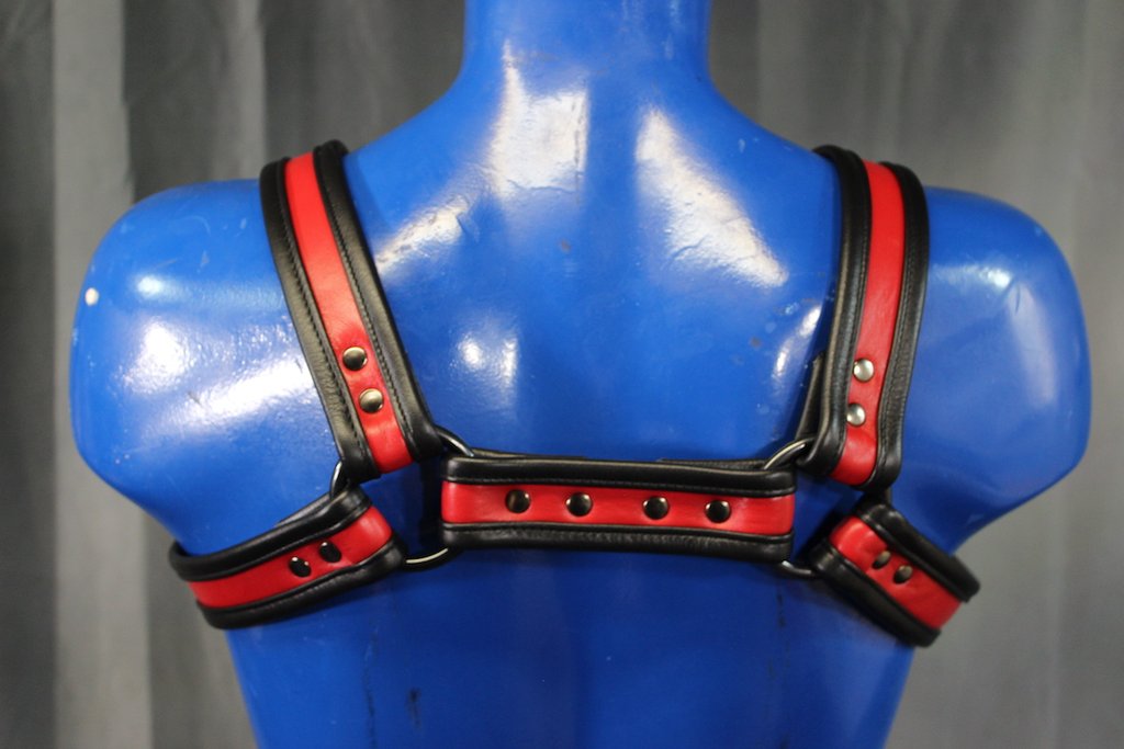 Two-Tone Bulldog Harness