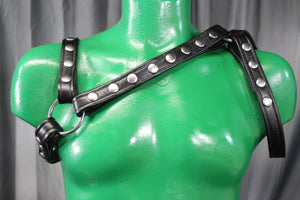 Legionnaire Harness