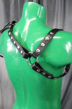 Legionnaire Harness