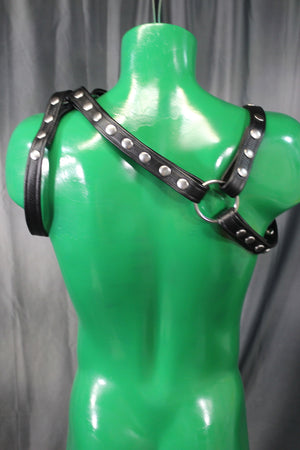 Legionnaire Harness