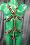 Otter and Fox Leather Harnesses