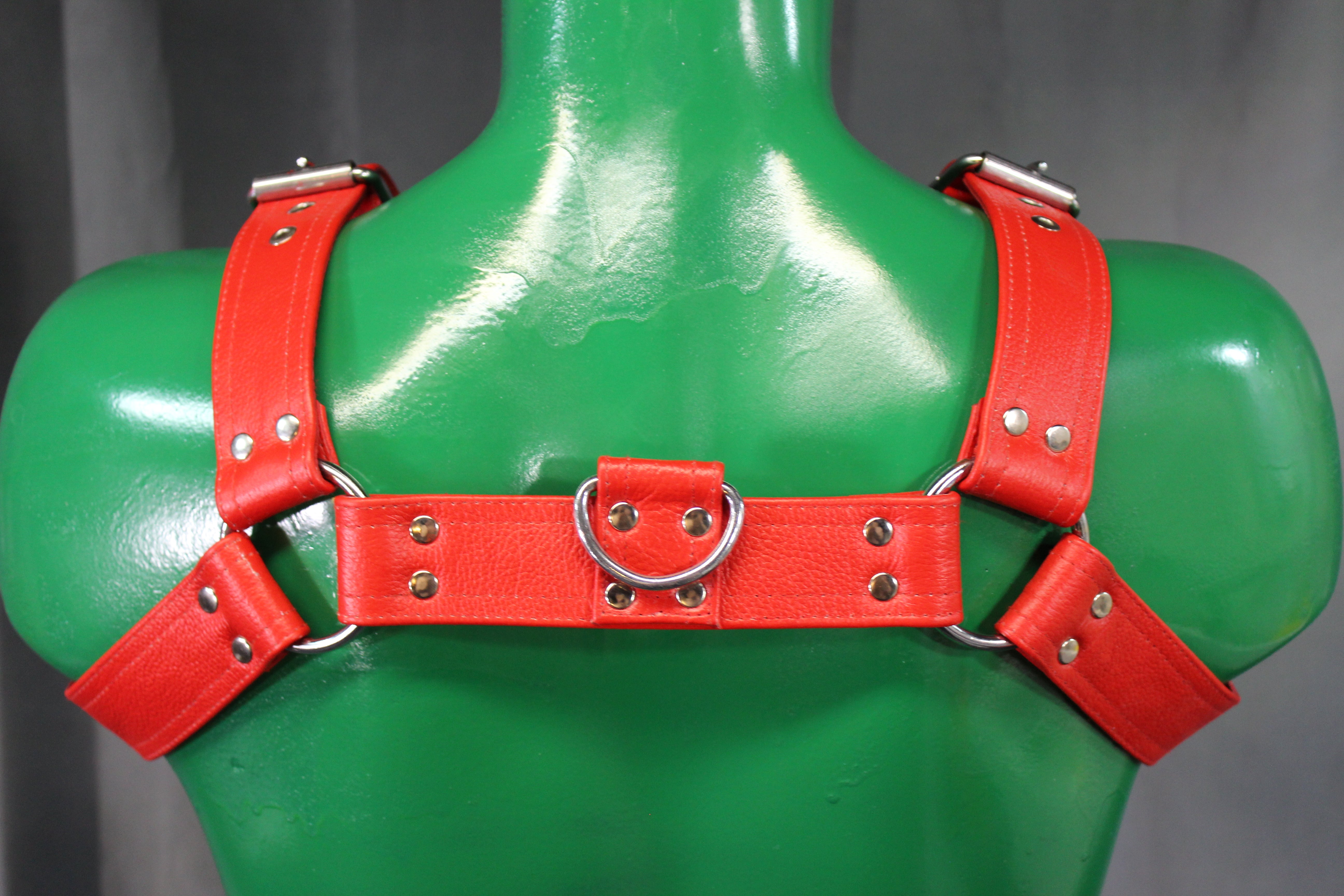 Otter and Fox Leather Harnesses