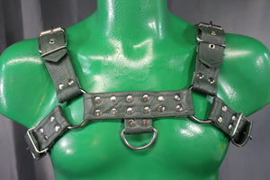 Otter and Fox Leather Harnesses