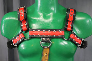 Otter and Fox Leather Harnesses