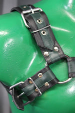 Otter and Fox Leather Harnesses