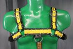 Otter and Fox Leather Harnesses