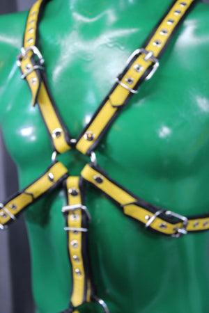 Otter and Fox Leather Harnesses