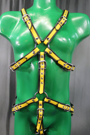 Otter and Fox Leather Harnesses