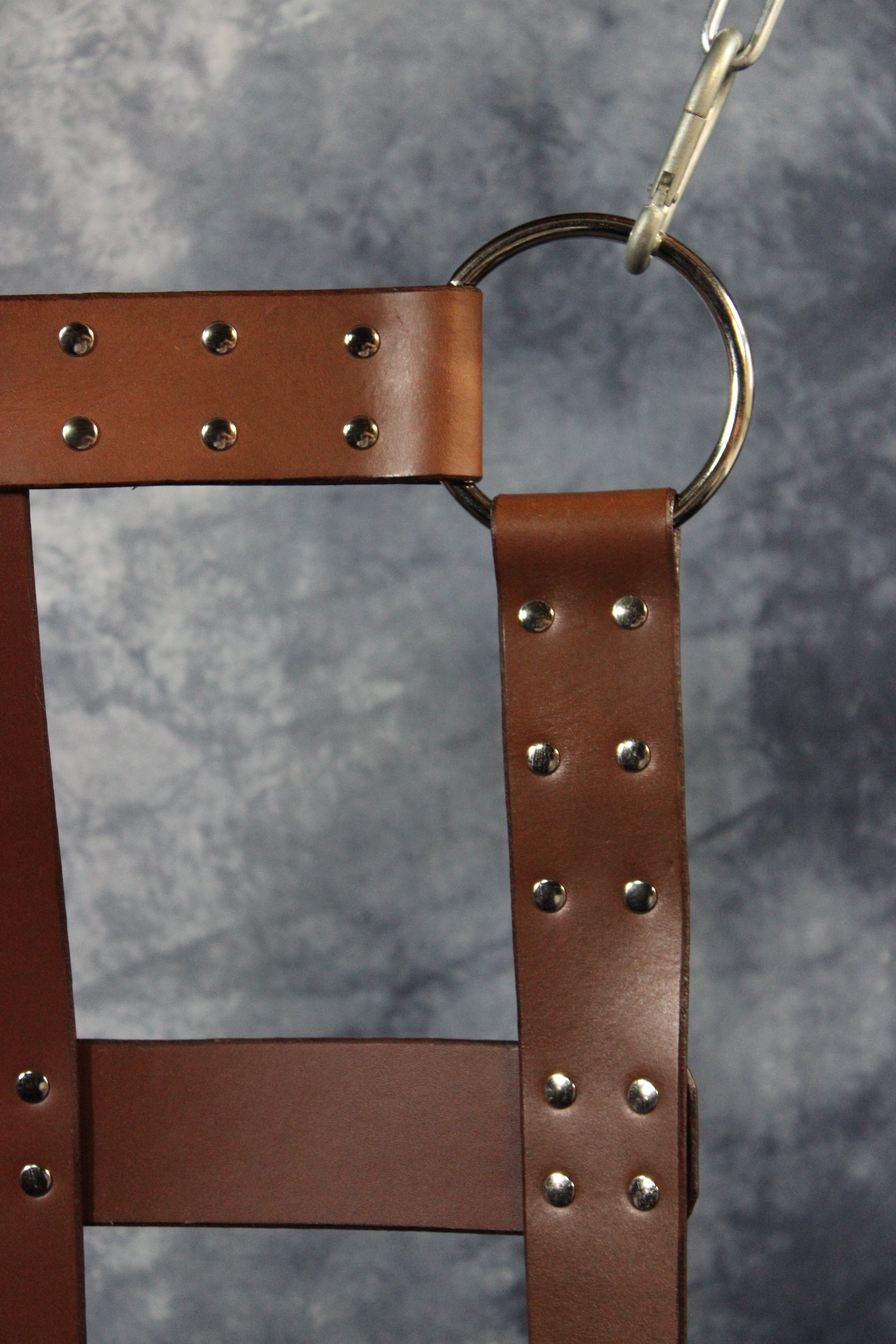 Classic Webbed Leather Sling