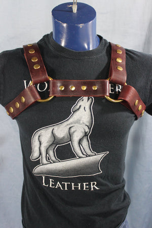 Classic Latigo Bulldog Harness with Snaps