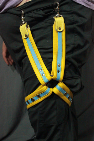 Two Tone Leg Harness