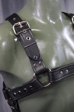 Arpas de cuero con hebillas