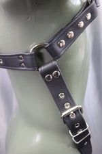 Arpas de cuero con hebillas