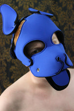 Pupskinz Two Toned Reversible Neoprene Husky Hood