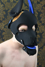 Pupskinz Two Toned Reversible Neoprene Husky Hood