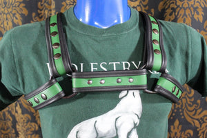 Two-Tone Bulldog Harness