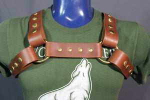 Classic Latigo Bulldog Harness