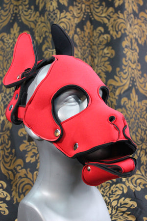 Pupskinz Two Toned Reversible Neoprene Husky Hood