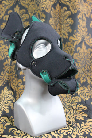 Pupskinz Two Toned Reversible Neoprene Husky Hood