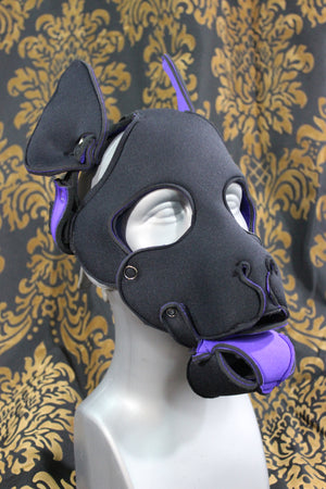 Pupskinz Two Toned Reversible Neoprene Husky Hood