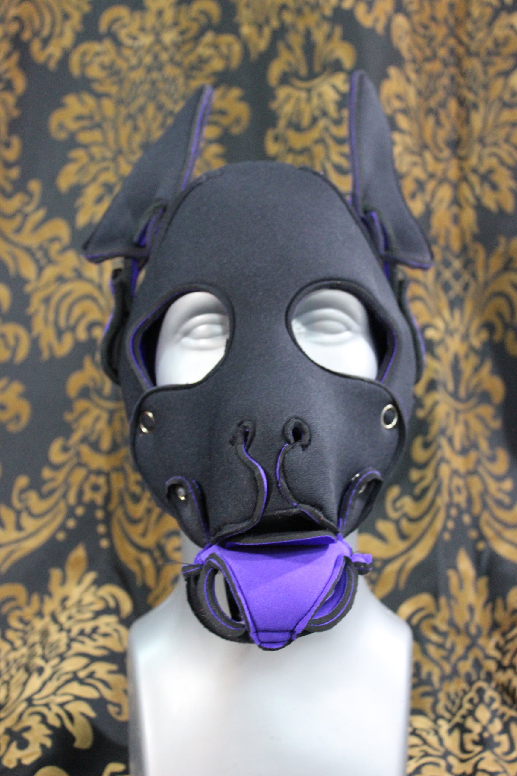 Pupskinz Two Toned Reversible Neoprene Husky Hood