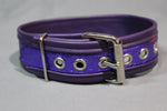 Locking Two-Tone Collar - Recessed Stripe Construction