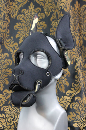 Pupskinz Two Toned Reversible Neoprene Husky Hood