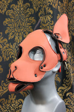 Pupskinz Two Toned Reversible Neoprene Husky Hood