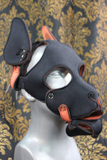 Pupskinz Two Toned Reversible Neoprene Husky Hood