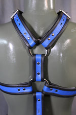 Full Body Extended X Harness