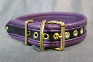 Two-Tone Collar - Recessed Stripe Construction