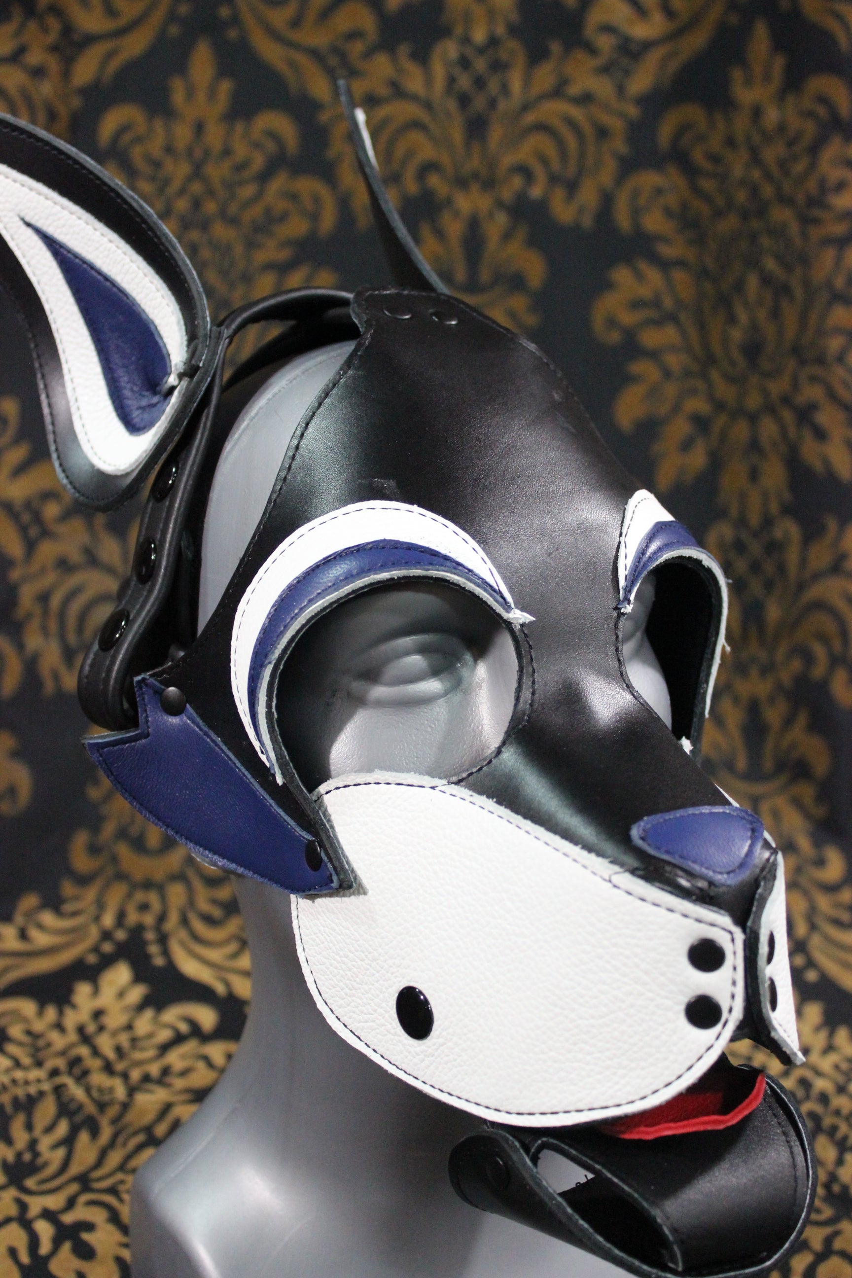 Husky style Pup Hood with Blue highlights