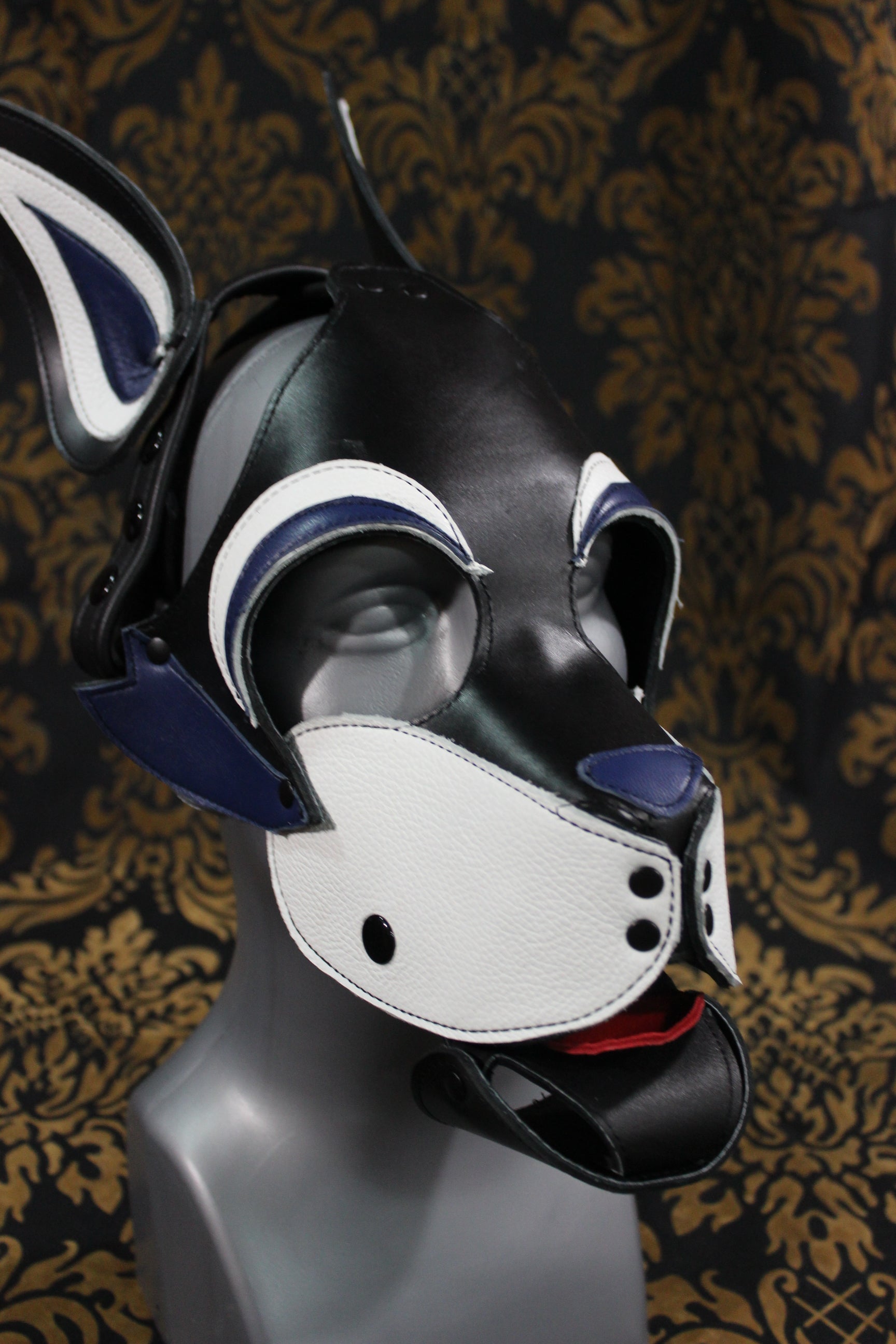 Husky style Pup Hood with Blue highlights