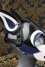 Husky style Pup Hood with Blue highlights