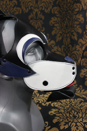 Husky style Pup Hood with Blue highlights