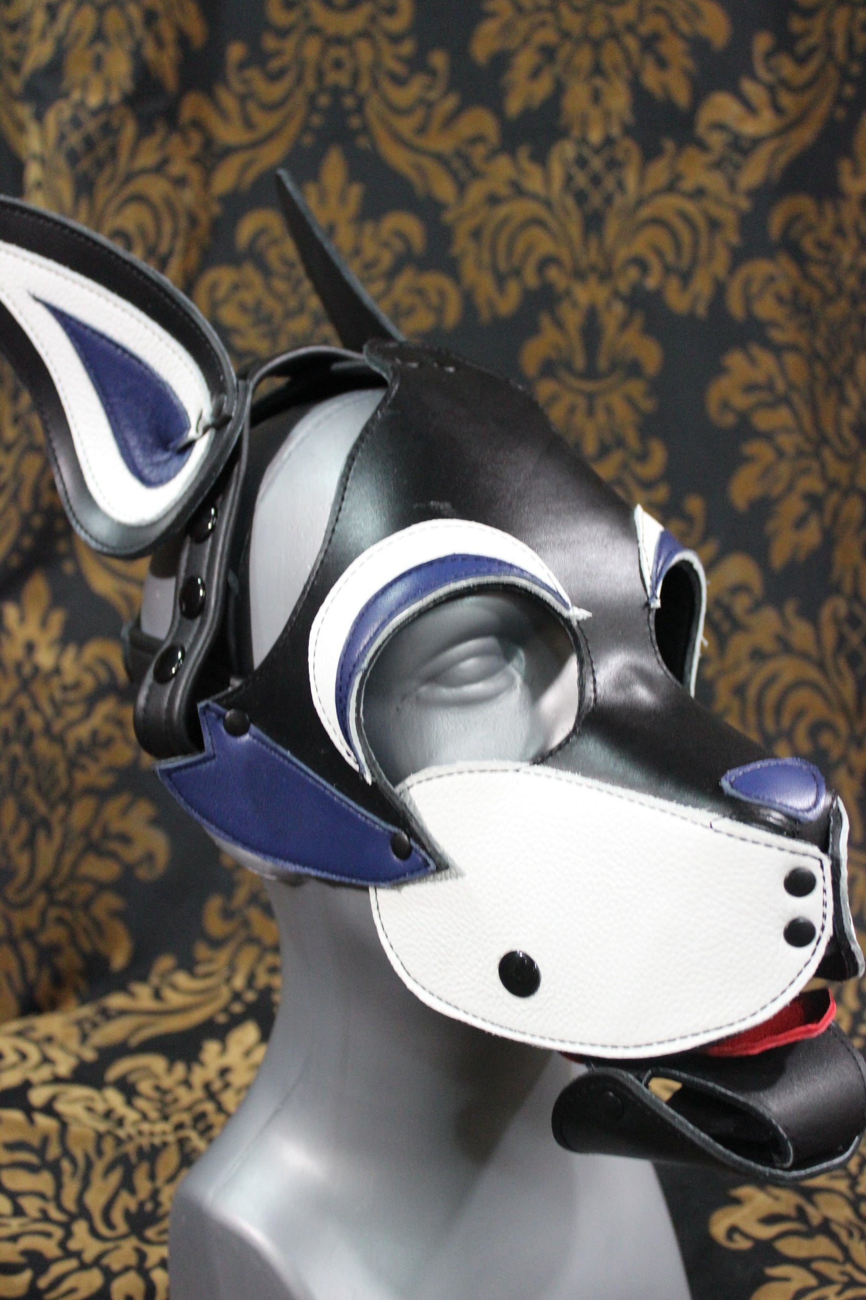 Husky style Pup Hood with Blue highlights