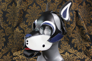 Husky style Pup Hood with Blue highlights