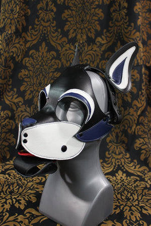 Husky style Pup Hood with Blue highlights