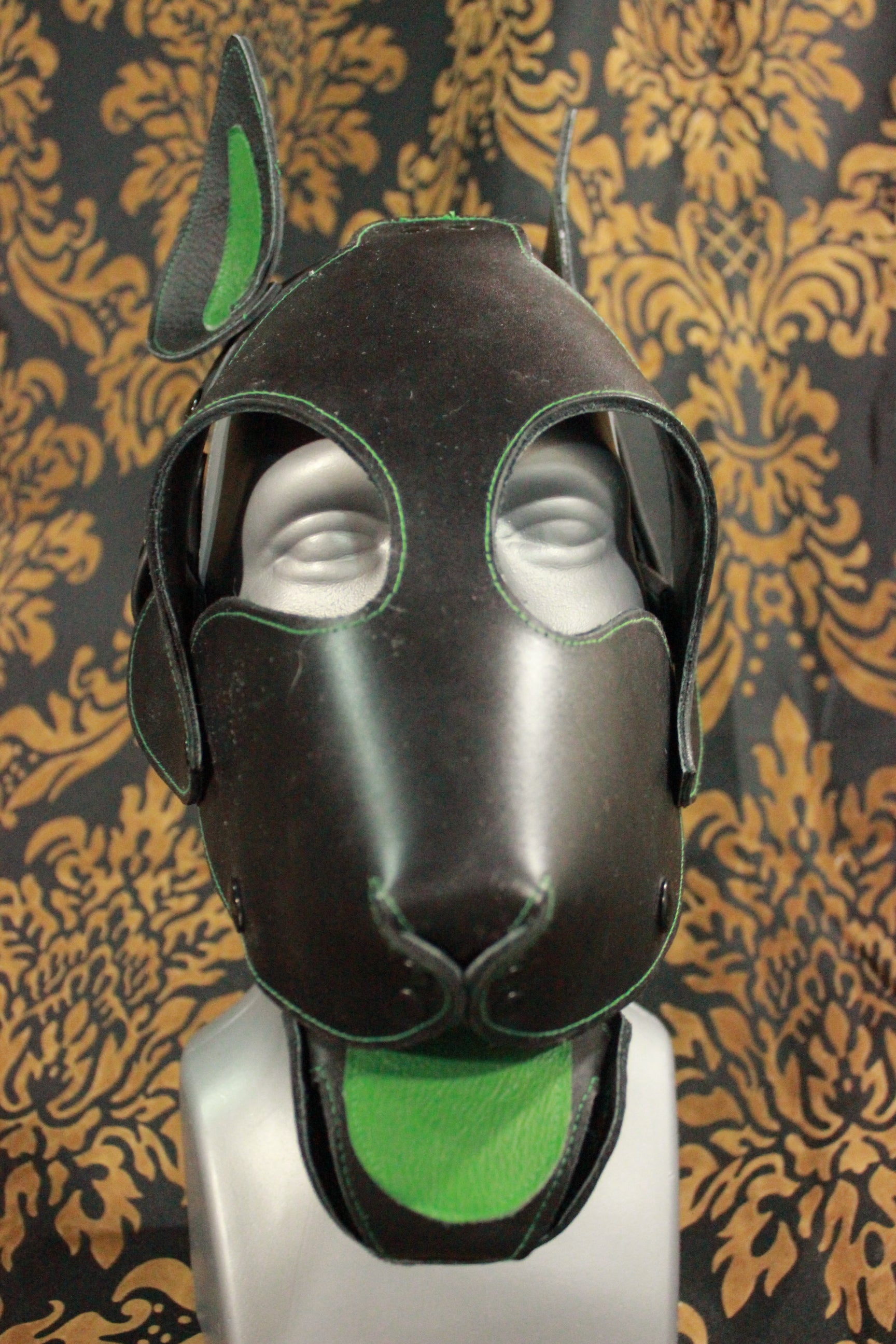 Bull Terrier Style Pup Hood