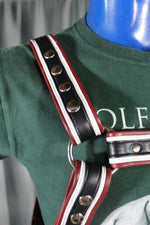 Three-Tone Bulldog Harness