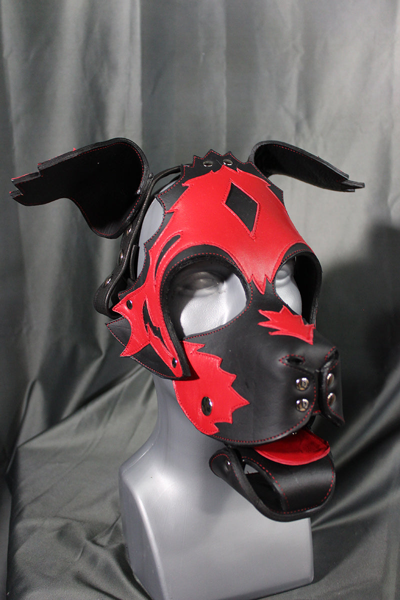 Scruffy Diamond Pup Hood