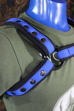 Neoprene Two-Toned Bulldog Harness