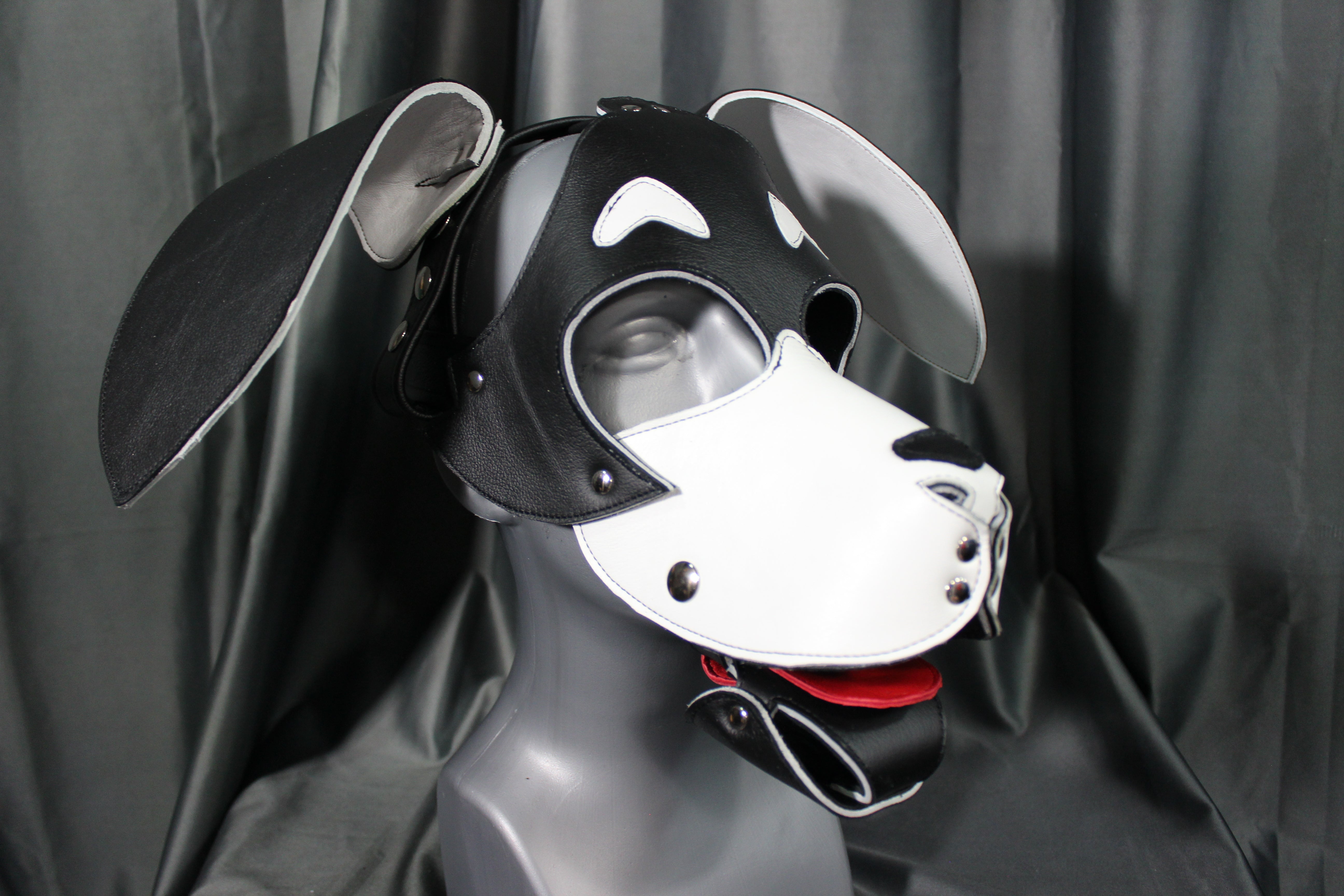 Basset Hound Style Pup Hood in Black and White