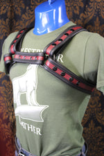 Two-Tone Bulldog Harness